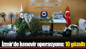 İzmir’de kenevir operasyonu: 10 gözaltı