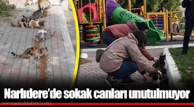 Narlıdere’de sokak canları unutulmuyor