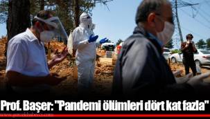 Prof. Başer: