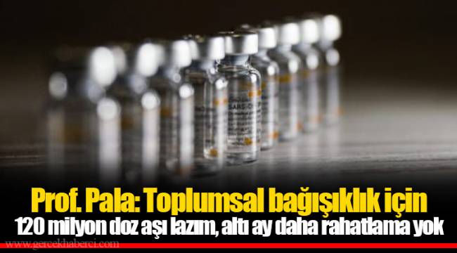 Prof. Pala: Toplumsal bağışıklık için 120 milyon doz aşı lazım, altı ay daha rahatlama yok