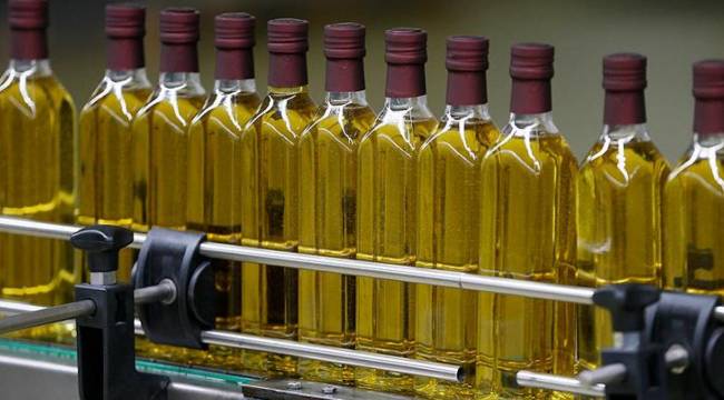 Sabah yazarı: Almanya, topraklarında neredeyse hiç yetişmeyen zeytinin yağını bizden ucuza tüketiyor