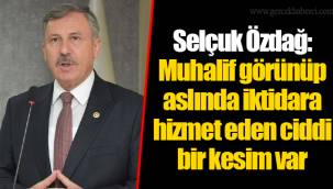 Selçuk Özdağ: Muhalif görünüp aslında iktidara hizmet eden ciddi bir kesim var