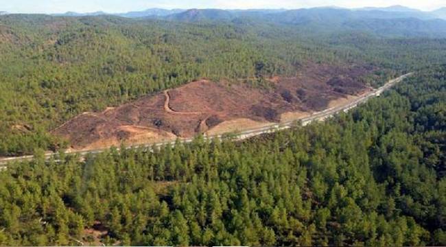 Ülke genelinde 133 altın madeni ruhsatı verilmiş