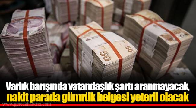 Varlık barışında vatandaşlık şartı aranmayacak, nakit parada gümrük belgesi yeterli olacak