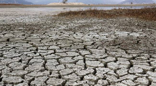 WWF’den Türkiye’ye kuraklık uyarısı: Kritik seviye geçildi
