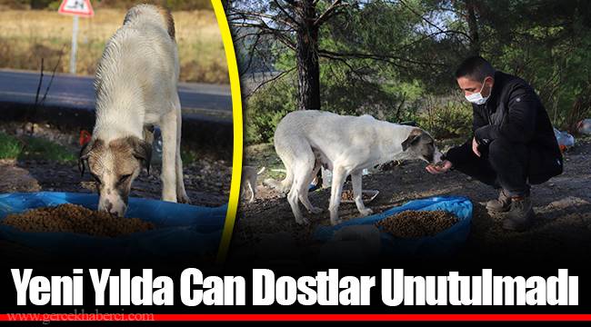 Yeni Yılda Can Dostlar Unutulmadı