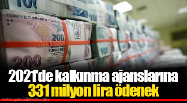 2021'de kalkınma ajanslarına 331 milyon lira ödenek