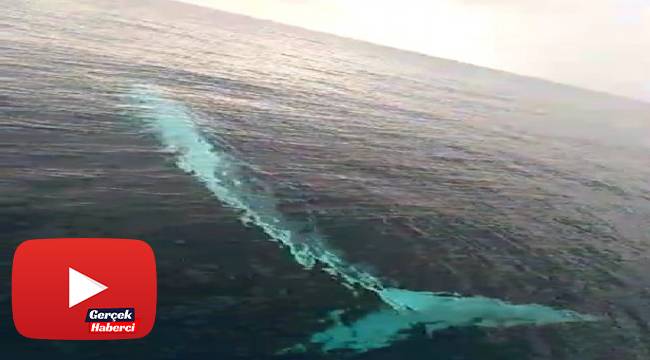 Akdeniz'de 15 metrelik oluklu balina görüntülendi