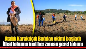 Atalık Karakılçık Buğday ekimi başladı