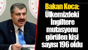 Bakan Koca: Ülkemizdeki İngiltere mutasyonu görülen kişi sayısı 196 oldu