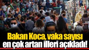 Bakan Koca, vaka sayısı en çok artan illeri açıkladı!