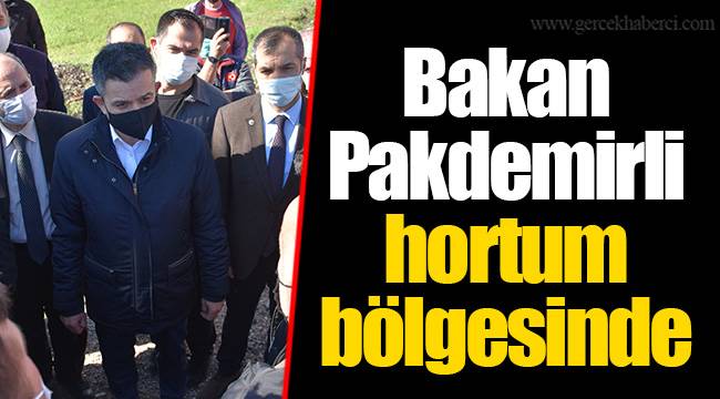 Bakan Pakdemirli hortum bölgesinde
