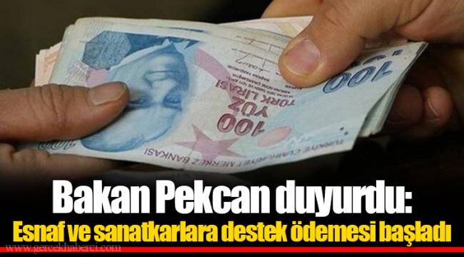 Bakan Pekcan duyurdu:  Esnaf ve sanatkarlara destek ödemesi başladı