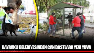 BAYRAKLI BELEDİYESİNDEN CAN DOSTLARA YENi YUVA