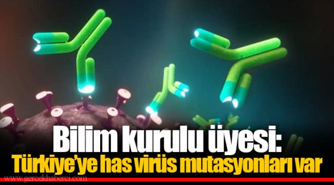 Bilim kurulu üyesi: Türkiye’ye has virüs mutasyonları var