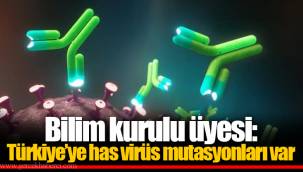 Bilim kurulu üyesi: Türkiye’ye has virüs mutasyonları var