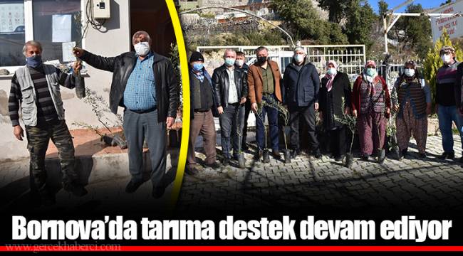Bornova’da tarıma destek devam ediyor