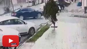 Bu kadarı pes dedirtti! Hamile sokak köpeğinin üzerinden arabayla geçti