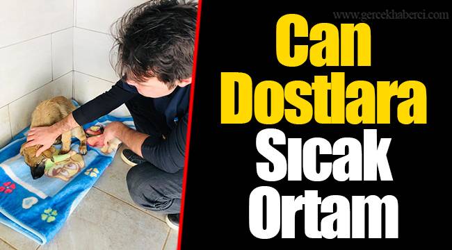 Can Dostlara Sıcak Ortam