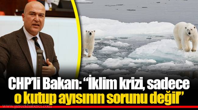 CHP’li Bakan: “İklim krizi, sadece o kutup ayısının sorunu değil”