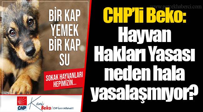 CHP’li Beko: Hayvan Hakları Yasası neden hala yasalaşmıyor?