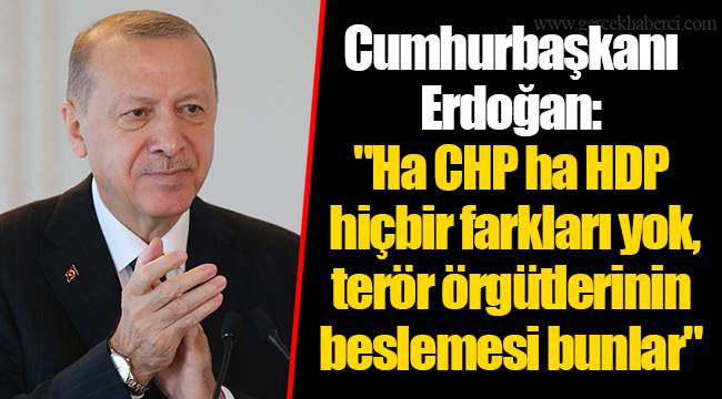Cumhurbaşkanı Erdoğan: &quot;Ha CHP ha HDP hiçbir farkları yok, terör örgütlerinin beslemesi bunlar &quot;