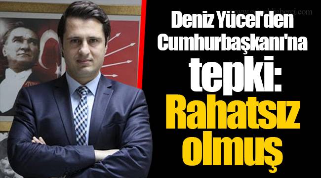 Deniz Yücel'den Cumhurbaşkanı'na tepki: Rahatsız olmuş