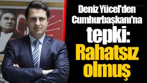 Deniz Yücel'den Cumhurbaşkanı'na tepki: Rahatsız olmuş