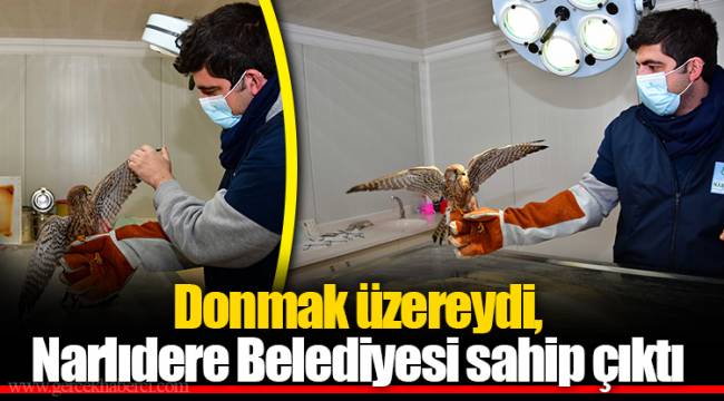 Donmak üzereydi, Narlıdere Belediyesi sahip çıktı