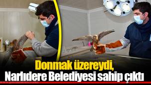 Donmak üzereydi, Narlıdere Belediyesi sahip çıktı