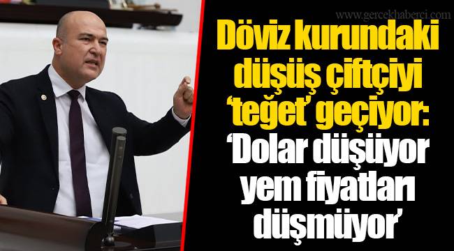 Döviz kurundaki düşüş çiftçiyi ‘teğet’ geçiyor: ‘Dolar düşüyor yem fiyatları düşmüyor’