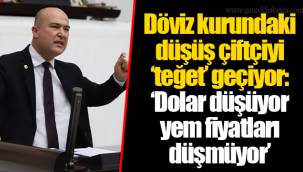 Döviz kurundaki düşüş çiftçiyi ‘teğet’ geçiyor: ‘Dolar düşüyor yem fiyatları düşmüyor’