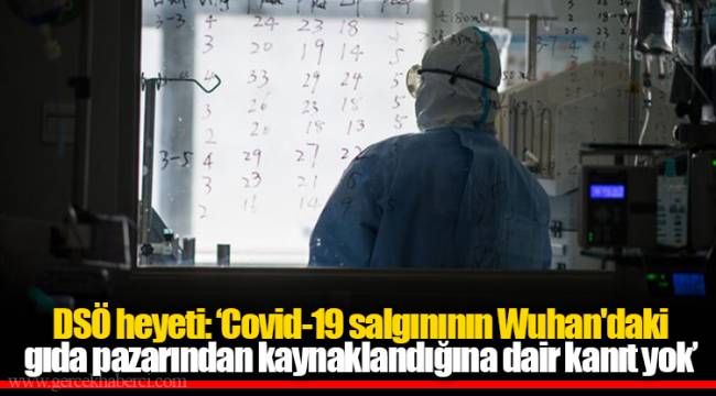 DSÖ heyeti: ‘Covid-19 salgınının Wuhan'daki gıda pazarından kaynaklandığına dair kanıt yok’