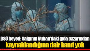 DSÖ heyeti: Salgının Vuhan'daki gıda pazarından kaynaklandığına dair kanıt yok
