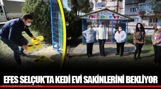 EFES SELÇUK’TA KEDİ EVİ SAKİNLERİNİ BEKLİYOR