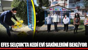 EFES SELÇUK’TA KEDİ EVİ SAKİNLERİNİ BEKLİYOR