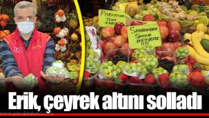 Erik, çeyrek altını solladı