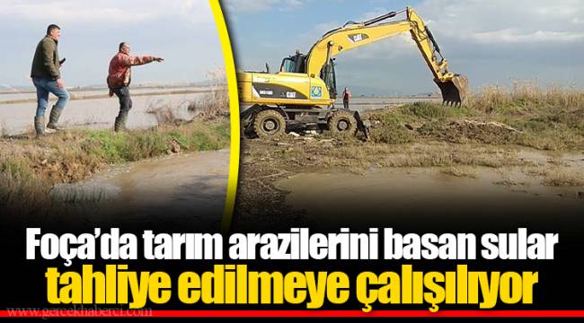 Foça’da tarım arazilerini basan sular tahliye edilmeye çalışılıyor