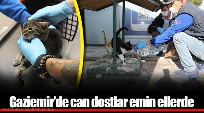 Gaziemir’de can dostlar emin ellerde