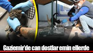 Gaziemir’de can dostlar emin ellerde