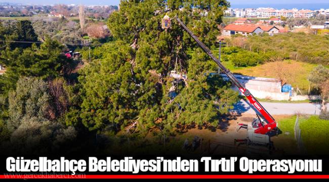 Güzelbahçe Belediyesi’nden ‘Tırtıl’ Operasyonu