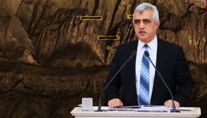 HDP'li Gergerlioğlu'dan çağrı: Herkes silahları bıraksın!