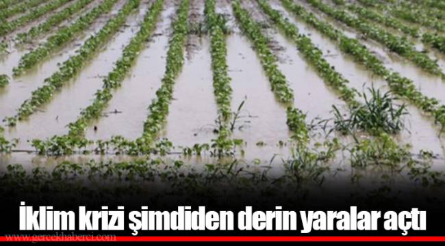İklim krizi şimdiden derin yaralar açtı