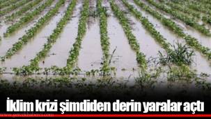 İklim krizi şimdiden derin yaralar açtı