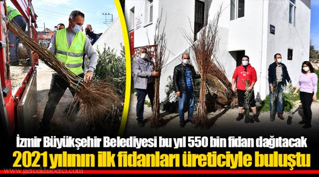 İzmir Büyükşehir Belediyesi bu yıl 550 bin fidan dağıtacak