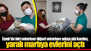İzmir'de biri veteriner diğeri veteriner adayı abi kardeş, yaralı martıya evlerini açtı