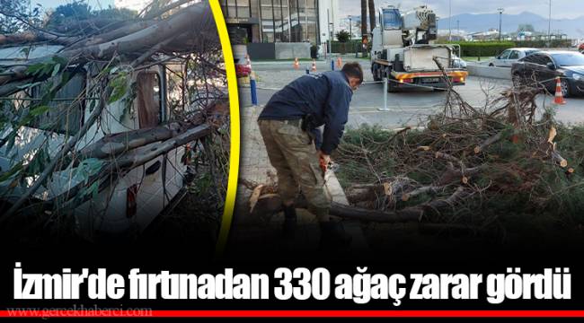 İzmir'de fırtınadan 330 ağaç zarar gördü