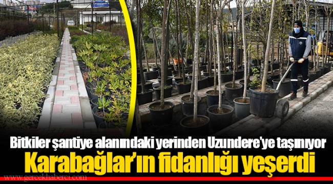 Karabağlar’ın fidanlığı yeşerdi