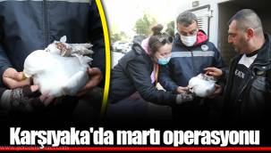 Karşıyaka'da martı operasyonu