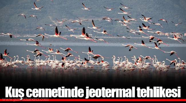 Kuş cennetinde jeotermal tehlikesi